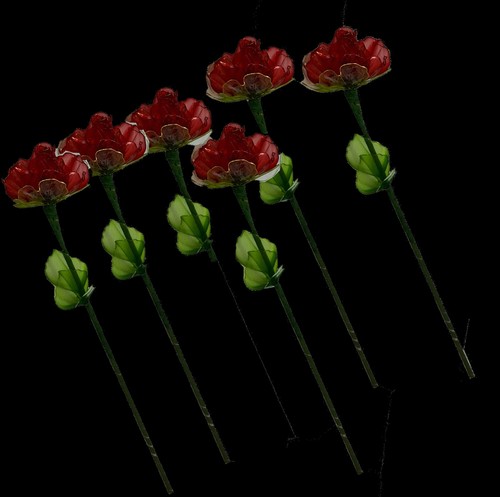 Rosa effetto vetro rosso