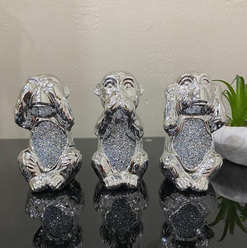 Set scimmie sagge bling - 3,