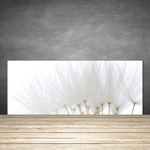 Paraschizzi cucina 125x50 - paraschizzi,
